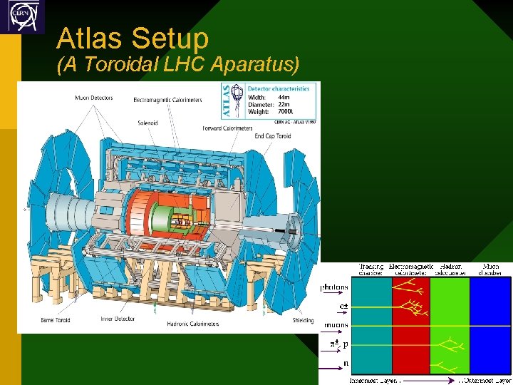 Atlas Setup (A Toroidal LHC Aparatus) • Preliminary Talk 