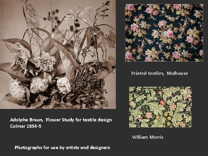 Printed textiles, Mulhouse Adolphe Braun, Flower Study for textile design Colmar 1854 -5 William