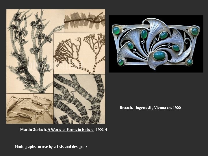 Brooch, Jugendstil, Vienna ca. 1900 Martin Gerlach, A World of Forms in Nature 1902