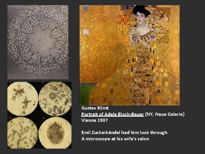 Gustav Klimt Portrait of Adele Bloch-Bauer (NY, Neue Galerie) Vienna 1907 Emil Zuckerkändel had
