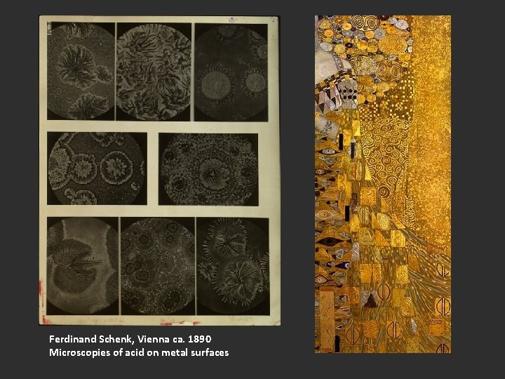 Ferdinand Schenk, Vienna ca. 1890 Microscopies of acid on metal surfaces 