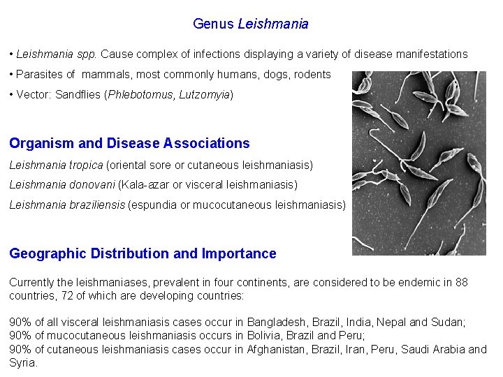 Genus Leishmania • Leishmania spp. Cause complex of infections displaying a variety of disease
