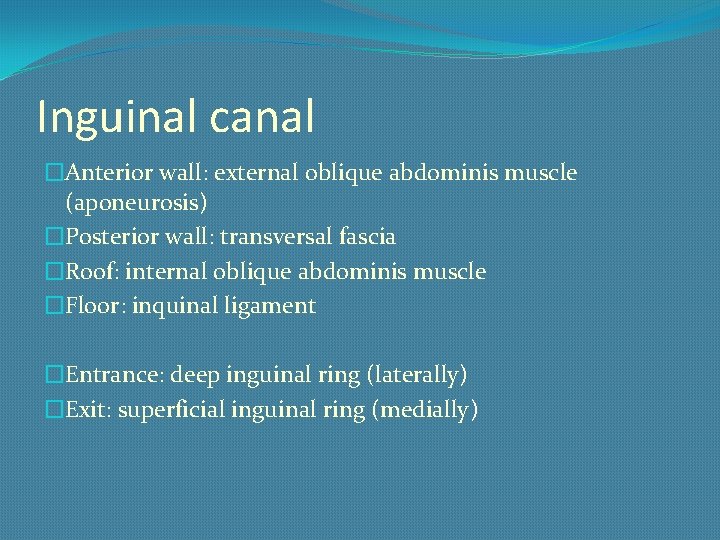 Inguinal canal �Anterior wall: external oblique abdominis muscle (aponeurosis) �Posterior wall: transversal fascia �Roof: