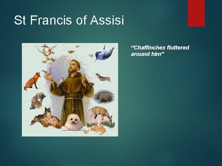 St Francis of Assisi “Chaffinches fluttered around him” 