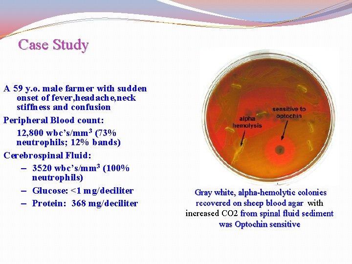 Case Study A 59 y. o. male farmer with sudden onset of fever, headache,