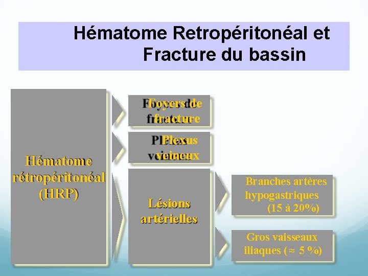 Hématome Retropéritonéal et Fracture du bassin Foyers de fracture Hématome rétropéritonéal (HRP) Plexus veineux