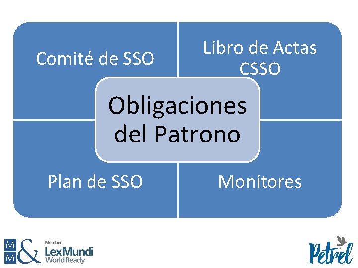 Comité de SSO Libro de Actas CSSO Obligaciones del Patrono Plan de SSO Monitores