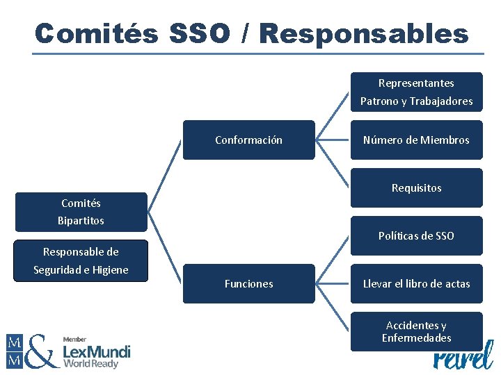 Comités SSO / Responsables Representantes Patrono y Trabajadores Conformación Número de Miembros Requisitos Comités