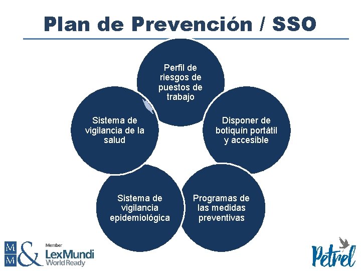 Plan de Prevención / SSO Perfil de riesgos de puestos de trabajo Sistema de