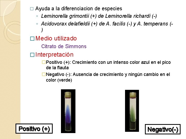 � Ayuda a la diferenciacion de especies ◦ Leminorella grimontii (+) de Leminorella richardi