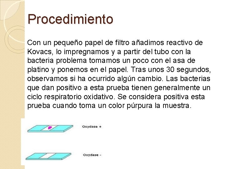 Procedimiento Con un pequeño papel de filtro añadimos reactivo de Kovacs, lo impregnamos y