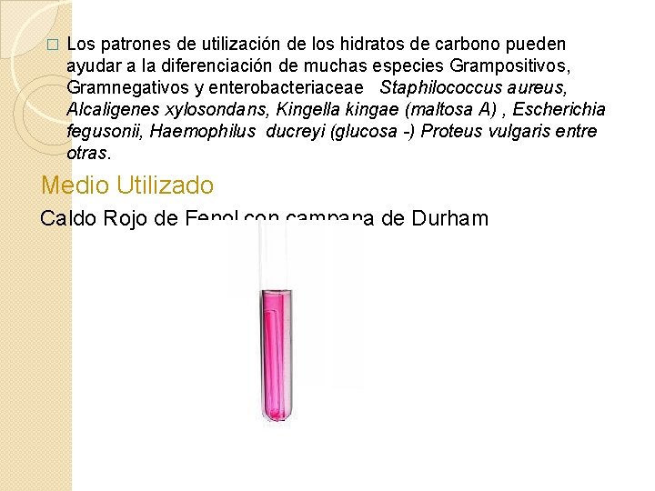 � Los patrones de utilización de los hidratos de carbono pueden ayudar a la