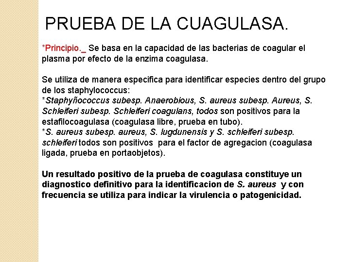 PRUEBA DE LA CUAGULASA. *Principio. _ Se basa en la capacidad de las bacterias