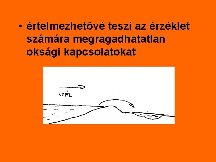  • értelmezhetővé teszi az érzéklet számára megragadhatatlan oksági kapcsolatokat 