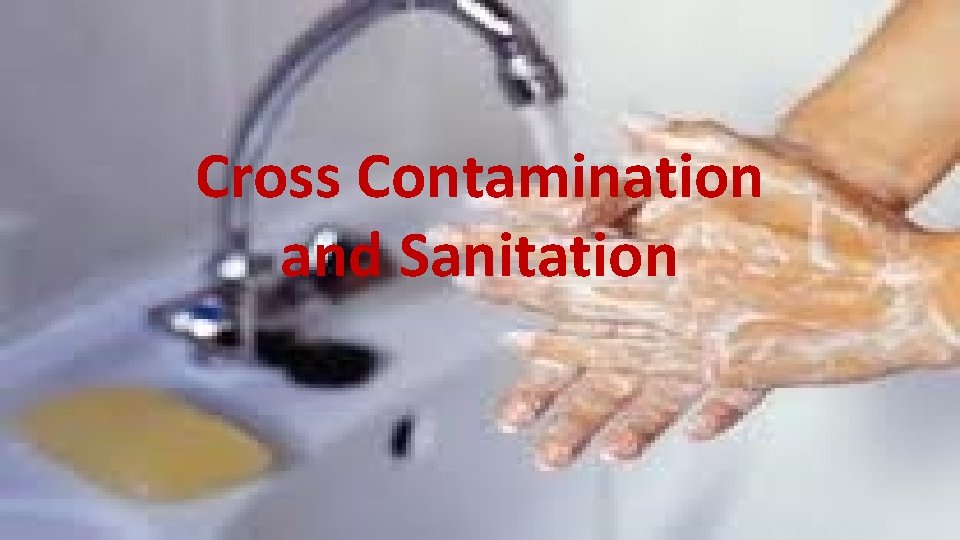 Cross Contamination and Sanitation 