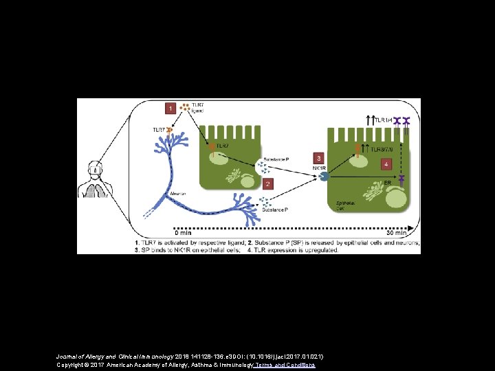 Journal of Allergy and Clinical Immunology 2018 141128 -136. e 3 DOI: (10. 1016/j.