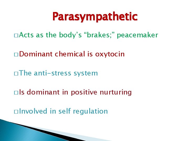 Parasympathetic � Acts as the body’s “brakes; ” peacemaker � Dominant � The �