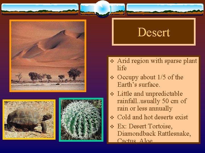 Desert v v v Arid region with sparse plant life Occupy about 1/5 of