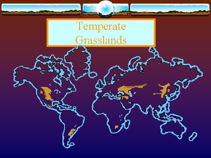 Temperate Grasslands 