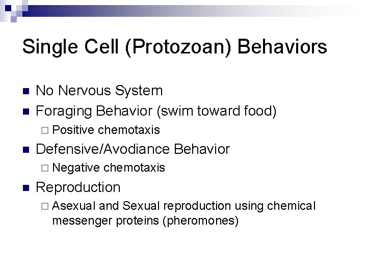 Single Cell (Protozoan) Behaviors n n No Nervous System Foraging Behavior (swim toward food)
