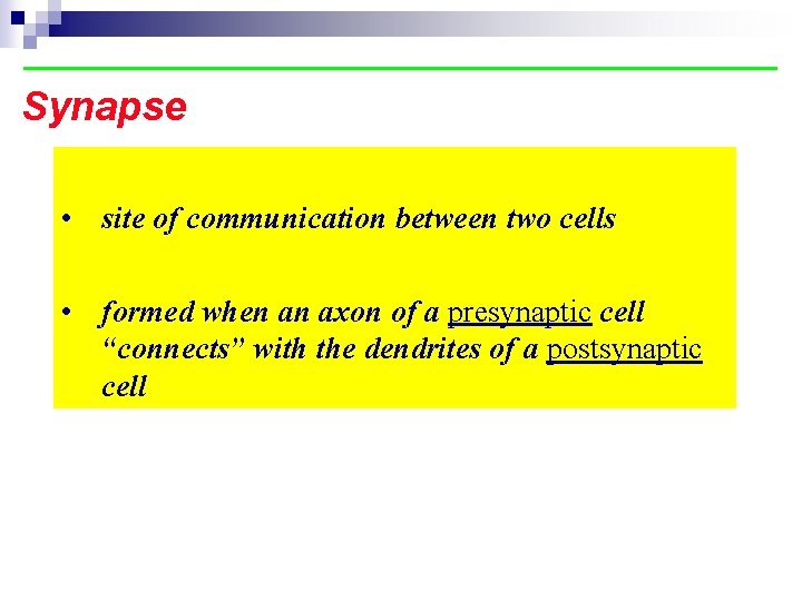 Synapse • site of communication between two cells • formed when an axon of