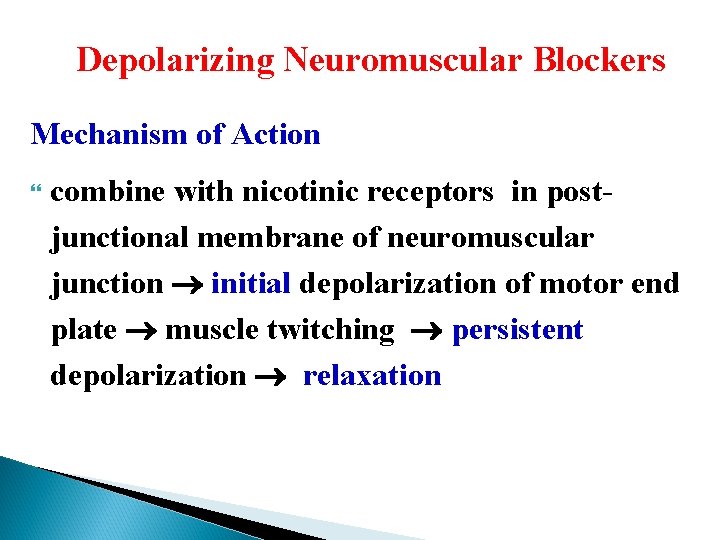 Depolarizing Neuromuscular Blockers Mechanism of Action combine with nicotinic receptors in postjunctional membrane of