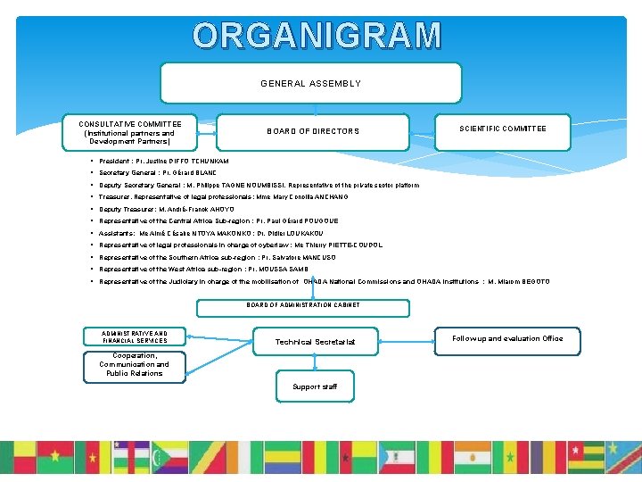 ORGANIGRAM GENERAL ASSEMBLY CONSULTATIVE COMMITTEE (Institutional partners and Development Partners) BOARD OF DIRECTORS SCIENTIFIC