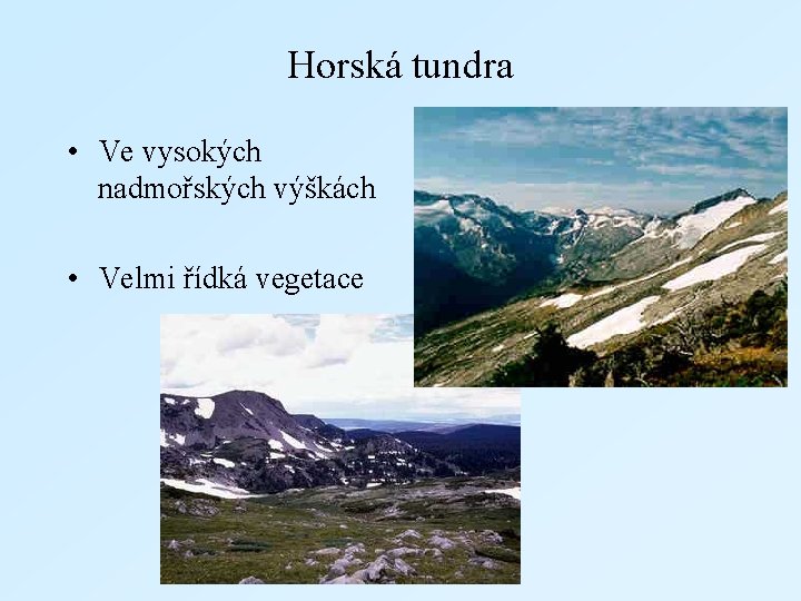 Horská tundra • Ve vysokých nadmořských výškách • Velmi řídká vegetace 