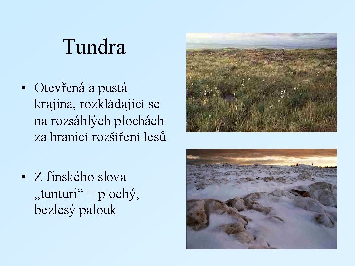  Tundra • Otevřená a pustá krajina, rozkládající se na rozsáhlých plochách za hranicí