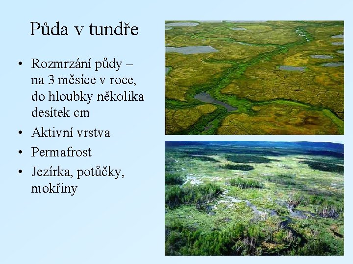 Půda v tundře • Rozmrzání půdy – na 3 měsíce v roce, do hloubky