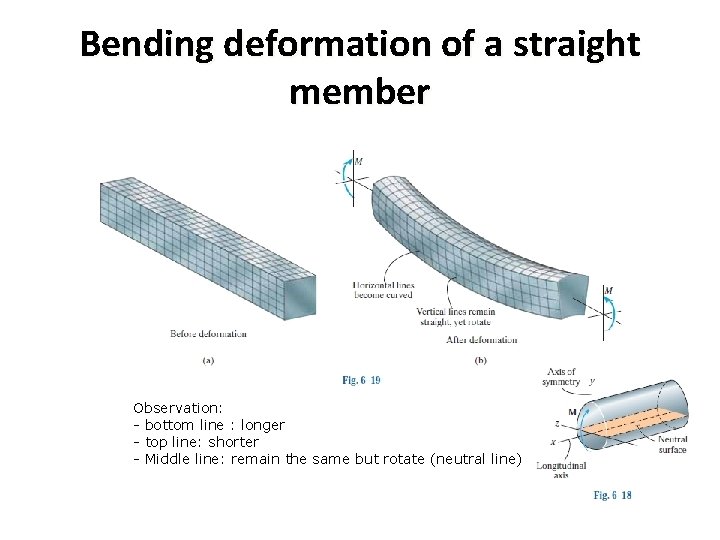 Bending deformation of a straight member Observation: - bottom line : longer - top Bending deformation of a straight member Observation: - bottom line : longer - top