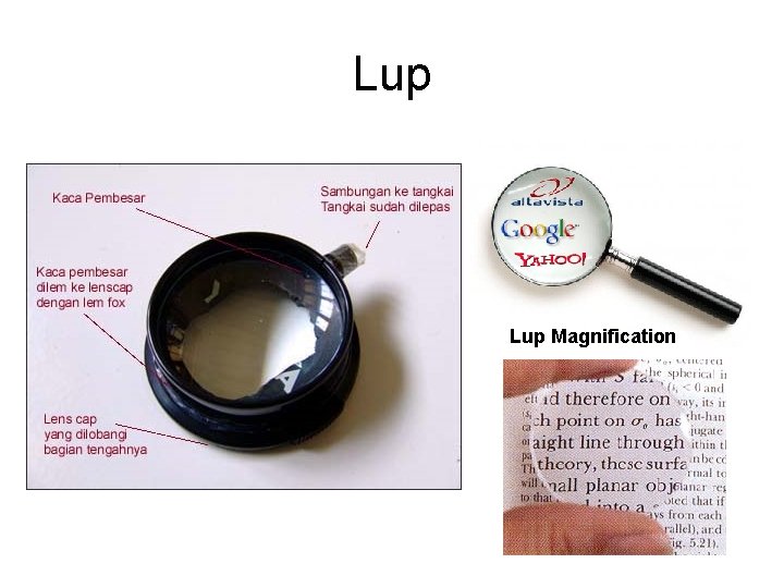 Lup Magnification 