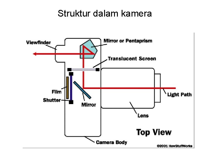 Struktur dalam kamera 