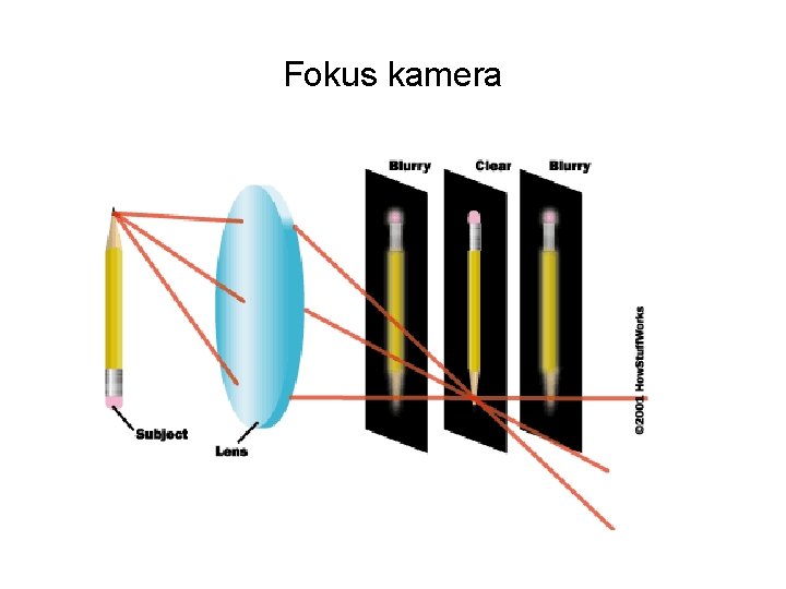 Fokus kamera 