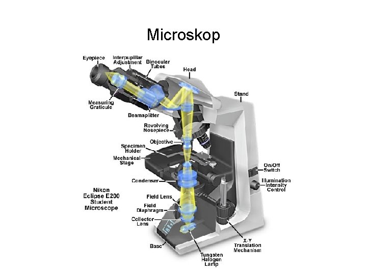 Microskop 