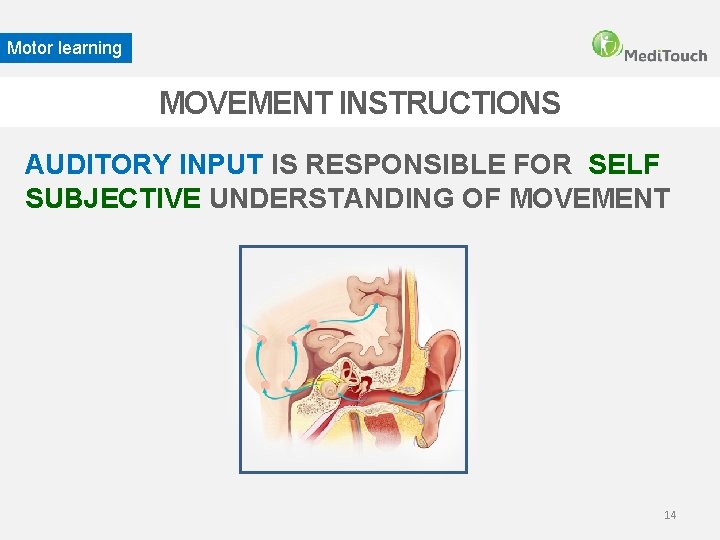 Motor learning MOVEMENT INSTRUCTIONS AUDITORY INPUT IS RESPONSIBLE FOR SELF SUBJECTIVE UNDERSTANDING OF MOVEMENT