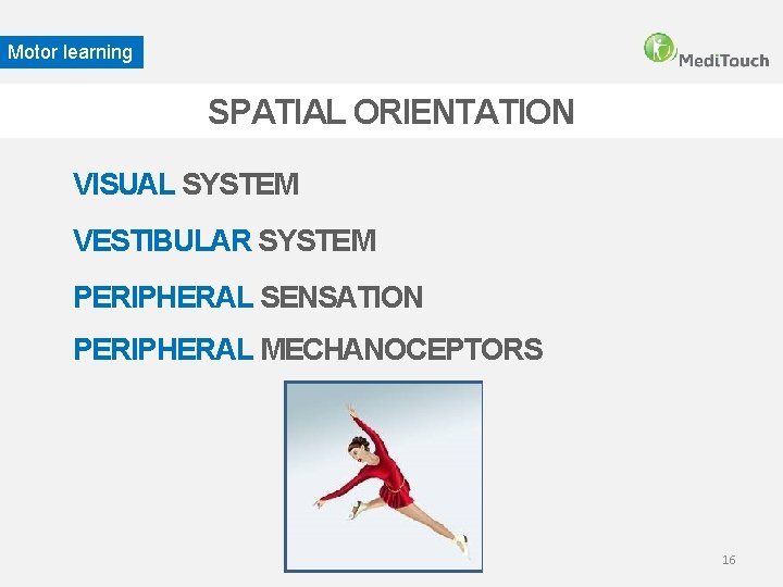 Motor learning SPATIAL ORIENTATION VISUAL SYSTEM VESTIBULAR SYSTEM PERIPHERAL SENSATION PERIPHERAL MECHANOCEPTORS 16 