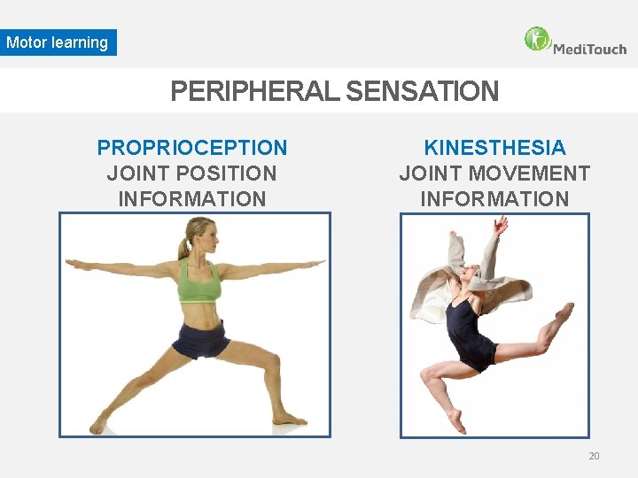 Motor learning PERIPHERAL SENSATION PROPRIOCEPTION JOINT POSITION INFORMATION KINESTHESIA JOINT MOVEMENT INFORMATION 20 