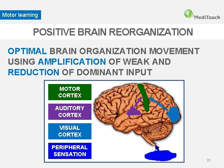 Motor learning POSITIVE BRAIN REORGANIZATION OPTIMAL BRAIN ORGANIZATION MOVEMENT USING AMPLIFICATION OF WEAK AND