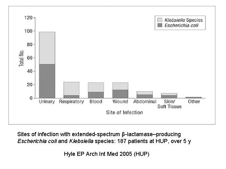 Sites of infection with extended-spectrum β-lactamase–producing Escherichia coli and Klebsiella species: 187 patients at