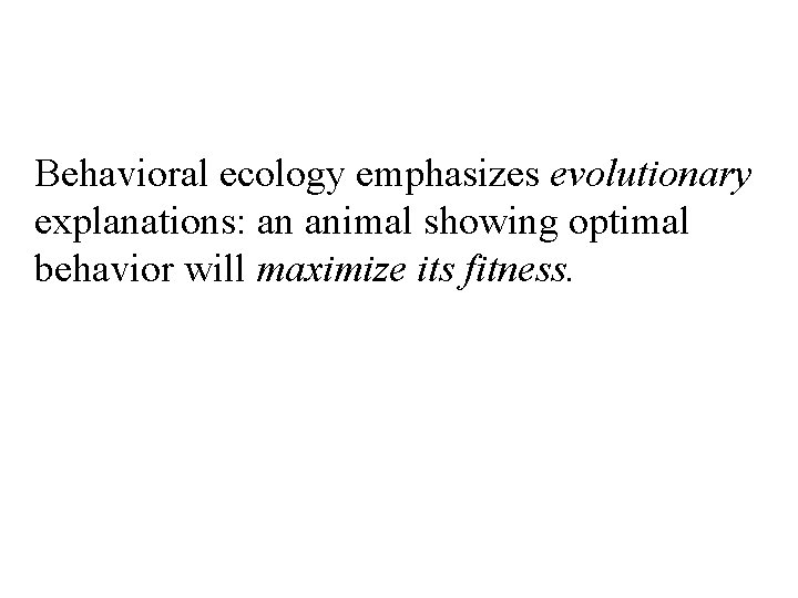 Behavioral ecology emphasizes evolutionary explanations: an animal showing optimal behavior will maximize its fitness.