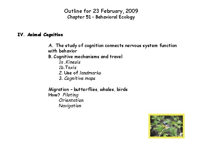 Outline for 23 February, 2009 Chapter 51 - Behavioral Ecology IV. Animal Cognition A.