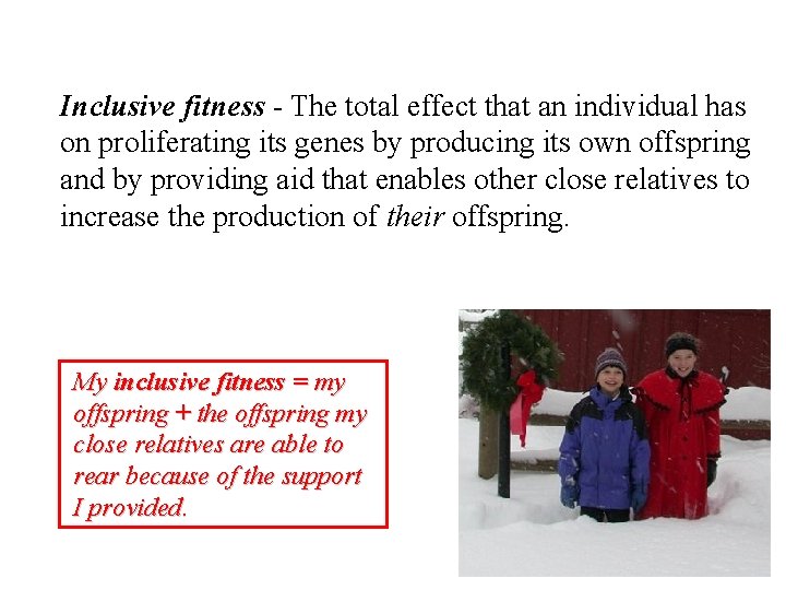 Inclusive fitness - The total effect that an individual has on proliferating its genes