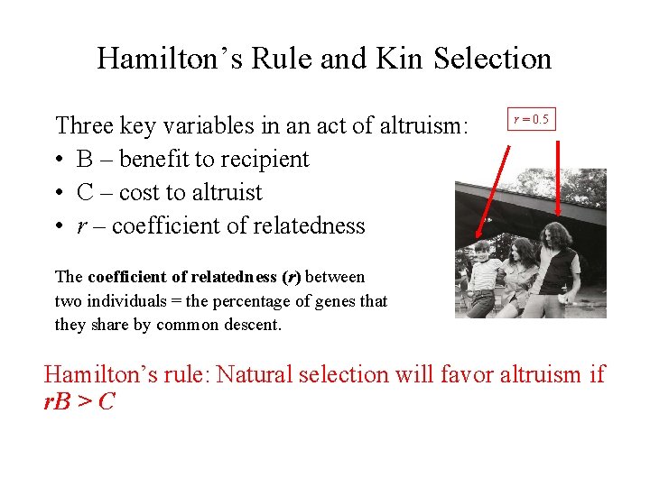 Hamilton’s Rule and Kin Selection Three key variables in an act of altruism: •