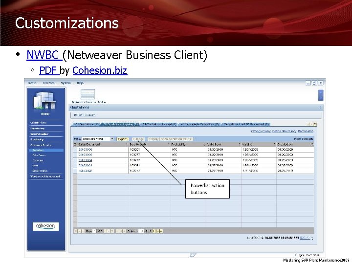 Customizations • NWBC (Netweaver Business Client) ◦ PDF by Cohesion. biz Mastering SAP Plant