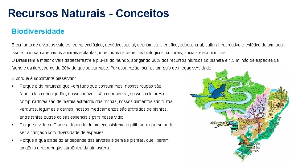 Recursos Naturais - Conceitos Biodiversidade É conjunto de diversos valores, como ecológico, genético, social,