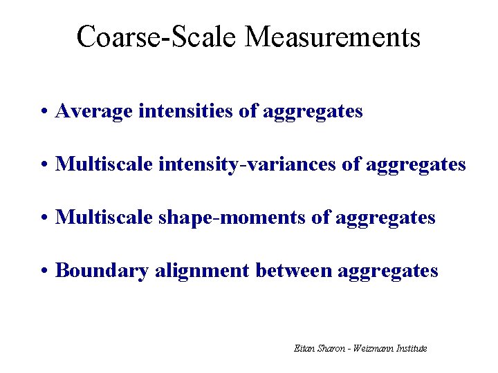 Coarse-Scale Measurements • Average intensities of aggregates • Multiscale intensity-variances of aggregates • Multiscale