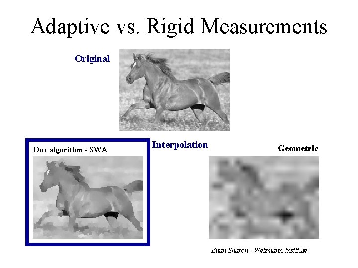 Adaptive vs. Rigid Measurements Original Our algorithm - SWA Interpolation Geometric Eitan Sharon -