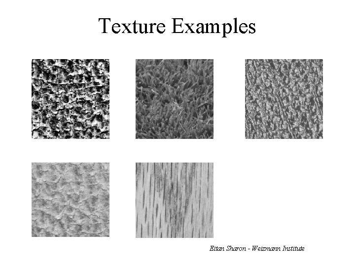 Texture Examples Eitan Sharon - Weizmann Institute 