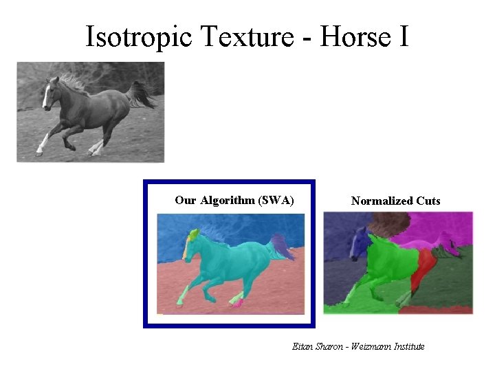 Isotropic Texture - Horse I Our Algorithm (SWA) Normalized Cuts Eitan Sharon - Weizmann